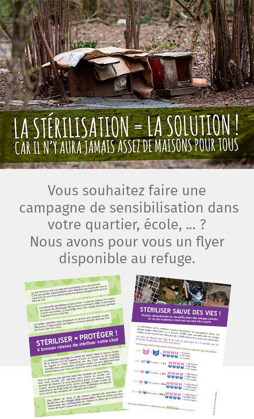 Image CatRescue
