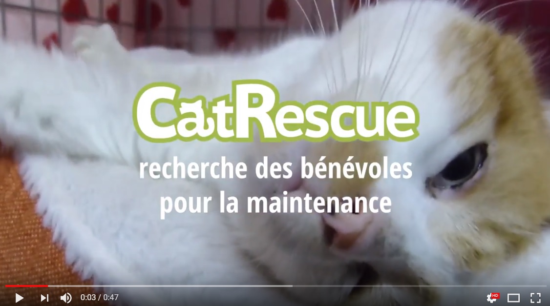 Image CatRescue